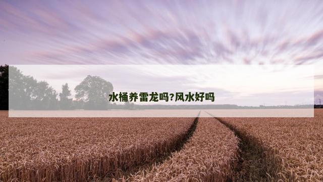 水桶养雷龙吗?风水好吗