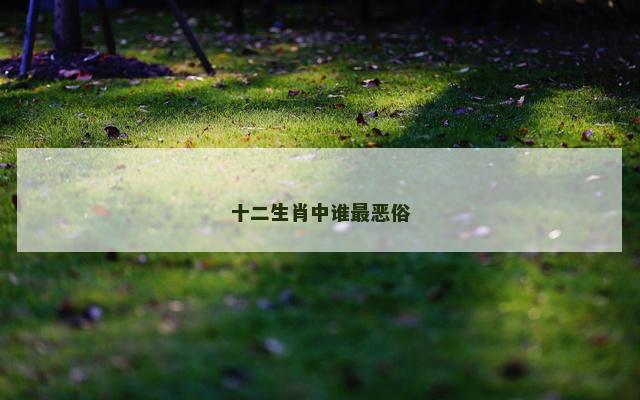 十二生肖中谁最恶俗