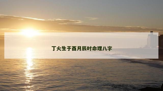 丁火生于酉月辰时命理八字