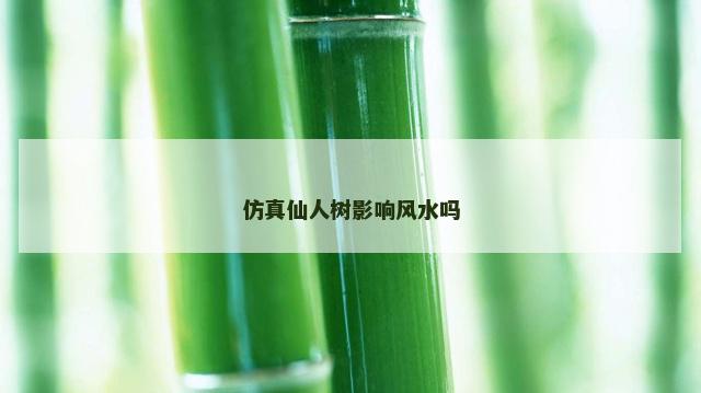 仿真仙人树影响风水吗