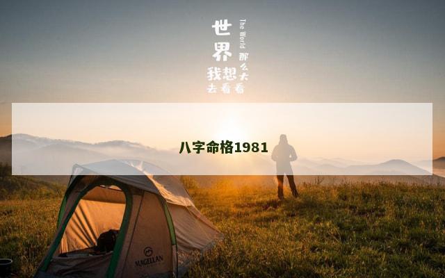 八字命格1981