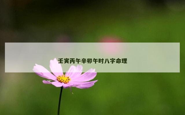 壬寅丙午辛卯午时八字命理