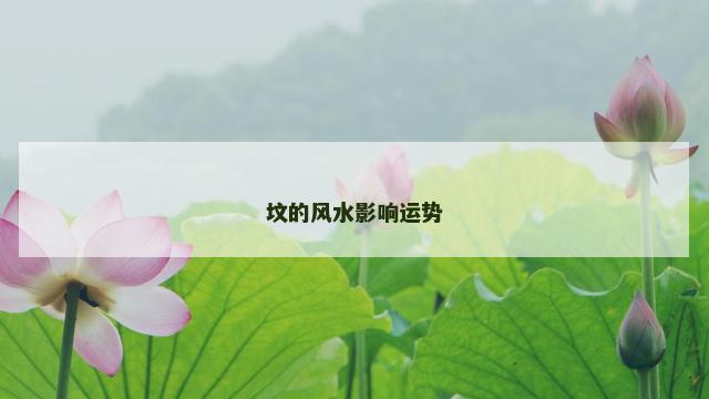 坟的风水影响运势