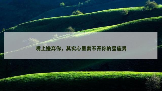 嘴上嫌弃你，其实心里离不开你的星座男