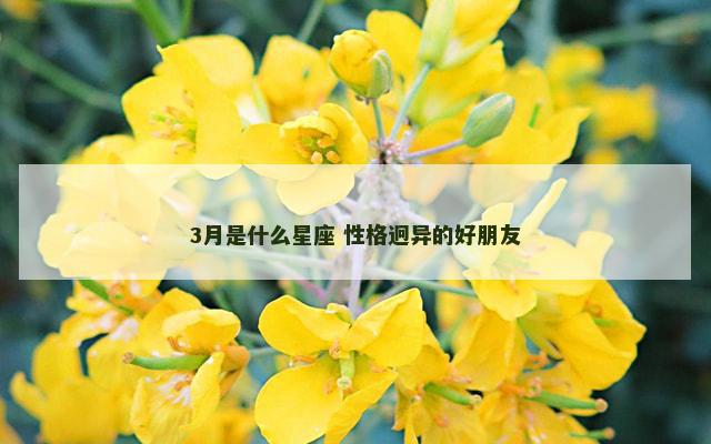 3月是什么星座 性格迥异的好朋友
