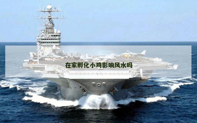 在家孵化小鸡影响风水吗