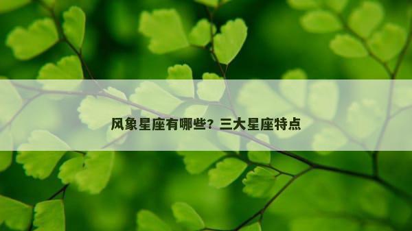 风象星座有哪些? 三大星座特点