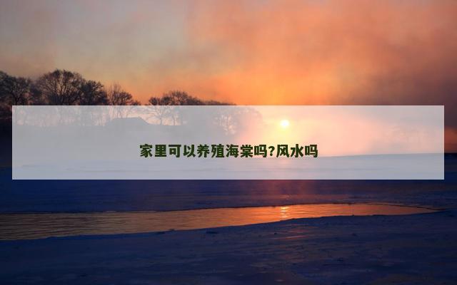 家里可以养殖海棠吗?风水吗