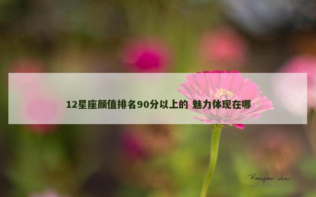 12星座颜值排名90分以上的 魅力体现在哪