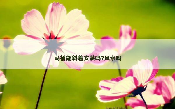 马桶能斜着安装吗?风水吗