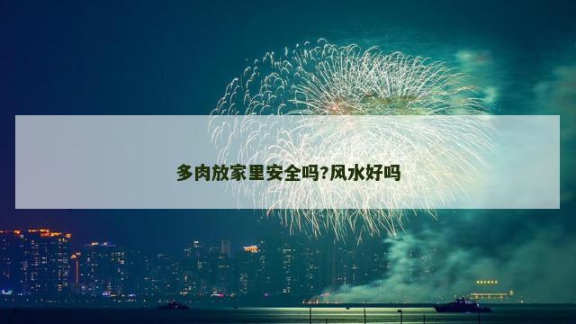 多肉放家里安全吗?风水好吗