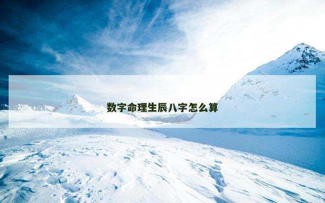 数字命理生辰八字怎么算