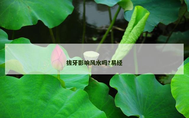 拔牙影响风水吗?易经