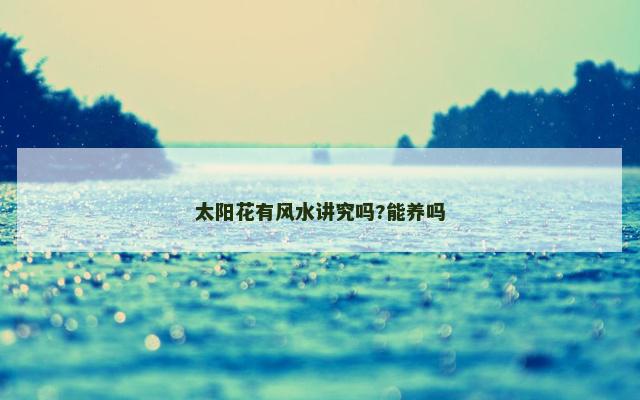 太阳花有风水讲究吗?能养吗