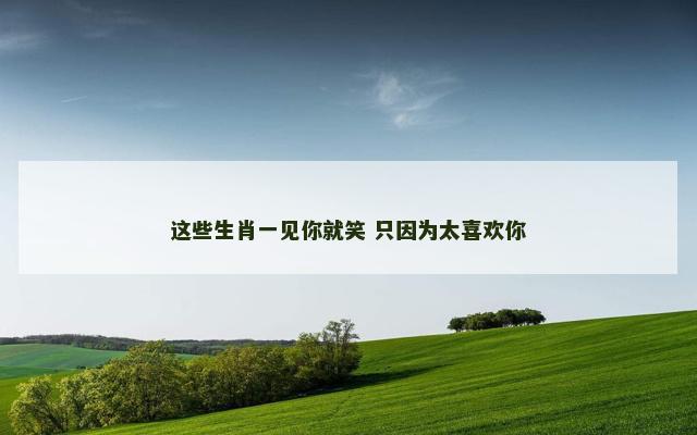 这些生肖一见你就笑 只因为太喜欢你