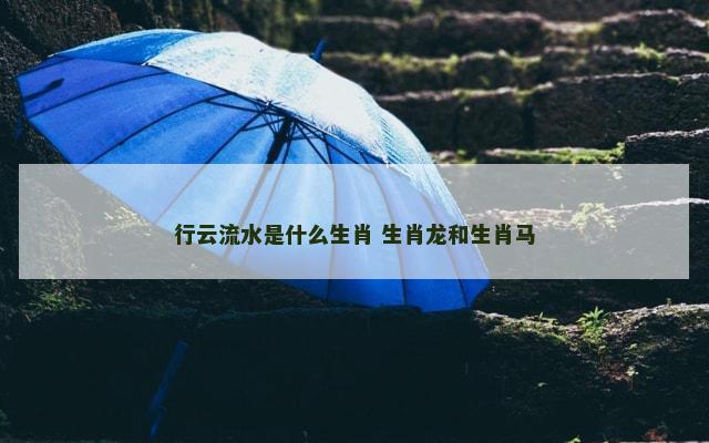 行云流水是什么生肖 生肖龙和生肖马