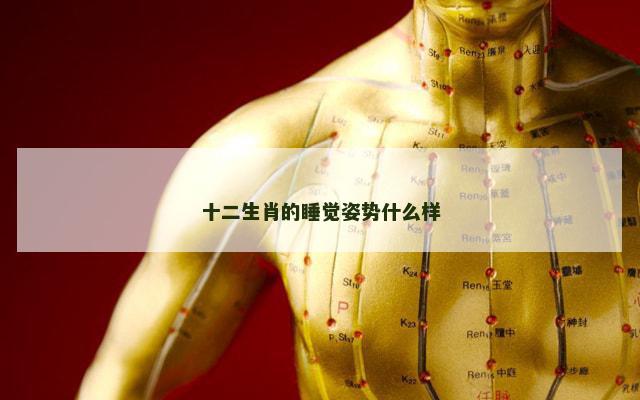 十二生肖的睡觉姿势什么样