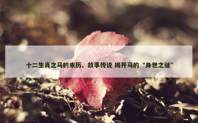 十二生肖之马的来历、故事传说 揭开马的“身世之谜”
