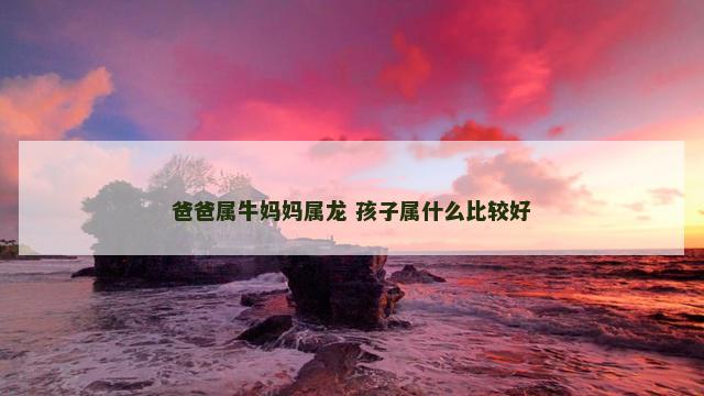 爸爸属牛妈妈属龙 孩子属什么比较好