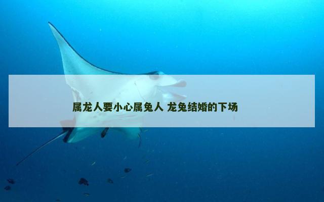 属龙人要小心属兔人 龙兔结婚的下场 　　