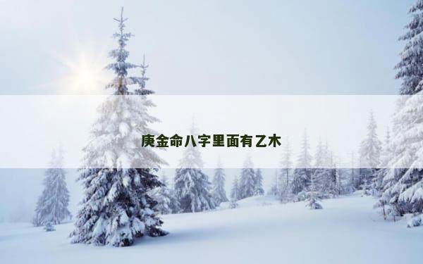 庚金命八字里面有乙木