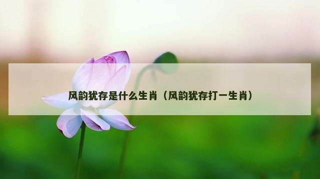 风韵犹存是什么生肖（风韵犹存打一生肖）