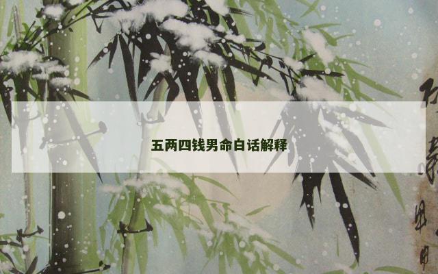 五两四钱男命白话解释