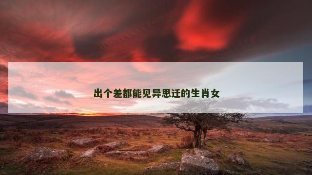 出个差都能见异思迁的生肖女
