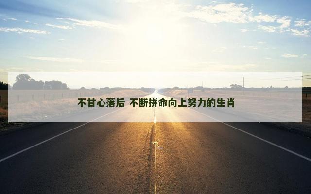 不甘心落后 不断拼命向上努力的生肖
