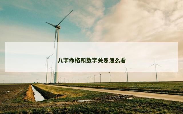 八字命格和数字关系怎么看