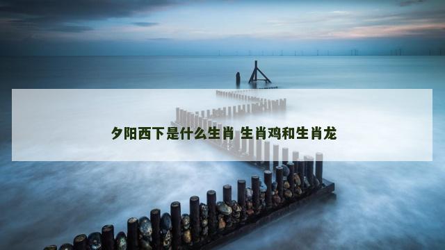 夕阳西下是什么生肖 生肖鸡和生肖龙