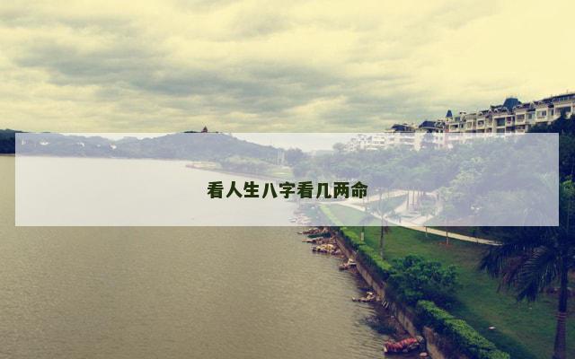 看人生八字看几两命