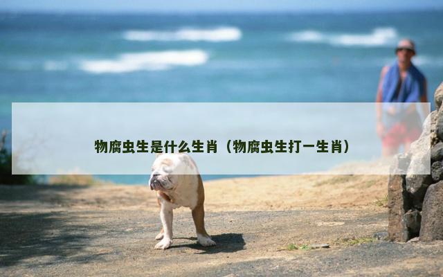 物腐虫生是什么生肖（物腐虫生打一生肖）
