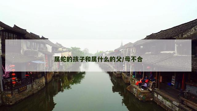 属蛇的孩子和属什么的父/母不合