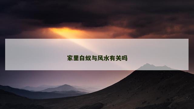 家里白蚁与风水有关吗