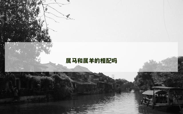 属马和属羊的相配吗