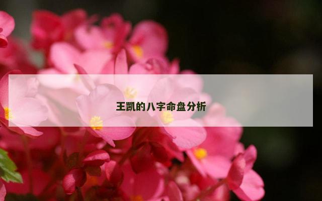 王凯的八字命盘分析