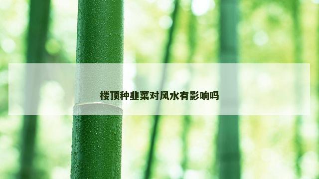楼顶种韭菜对风水有影响吗