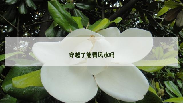 穿越了能看风水吗