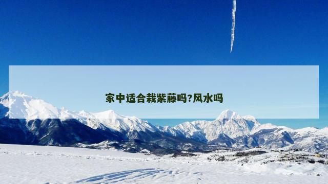 家中适合栽紫藤吗?风水吗