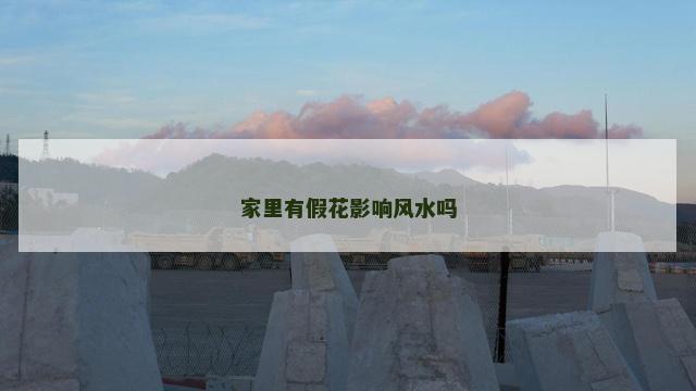 家里有假花影响风水吗