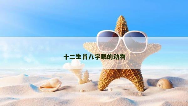 十二生肖八字眼的动物