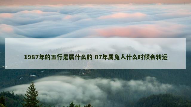1987年的五行是属什么的 87年属兔人什么时候会转运