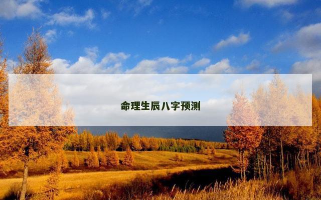 命理生辰八字预测