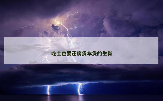 吃土也要还房贷车贷的生肖