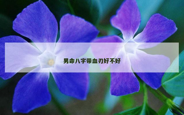 男命八字带血刃好不好