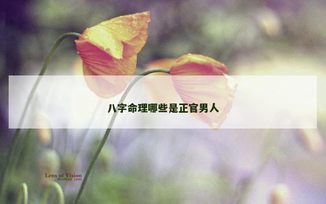 八字命理哪些是正官男人