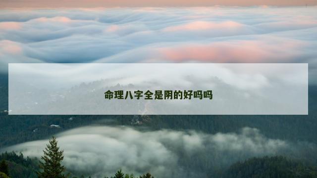 命理八字全是阴的好吗吗