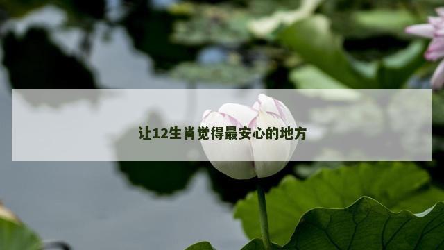 让12生肖觉得最安心的地方
