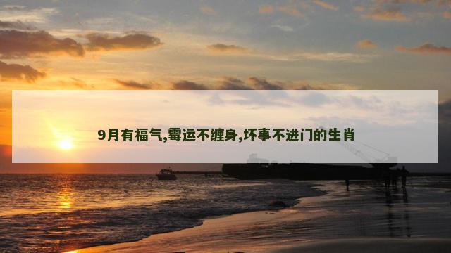 9月有福气,霉运不缠身,坏事不进门的生肖
